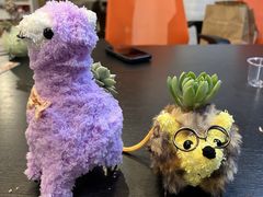 �悤������̂��Ƃ͉̂��Y�������ւ̓��e�ʐ^1