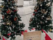 ������[����̃C�I�����[���@Nagoya�@Noritake�@Garden�̓��e�ʐ^3