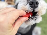 ���܂������Strawberry Minori�̓��e�ʐ^3