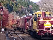 ����������̑���w�i�킽�点�k�J�c���j�̓��e�ʐ^1