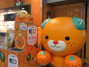 �}�R�e�B�[����̏��R��`�̓��e�ʐ^1