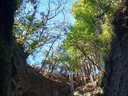 nonkokb����̈��|�ό����Z���^�[�̓��e�ʐ^1