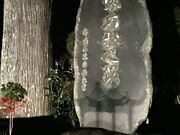 Shota����̐Ώ��̕�̓��e�ʐ^1