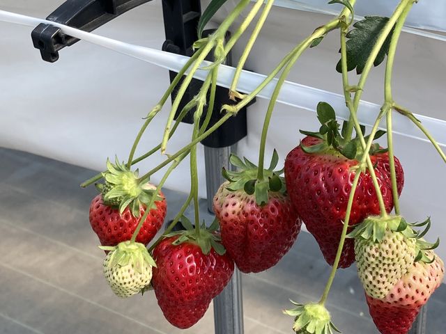 �q�ǂ������₷��_����_��