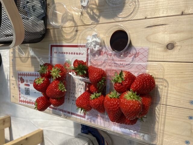 ������_RF�t�@�[��