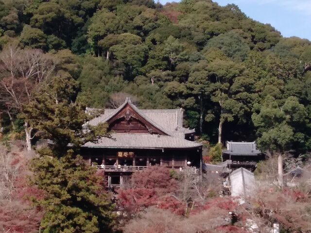 �g�t�̒���_���J��