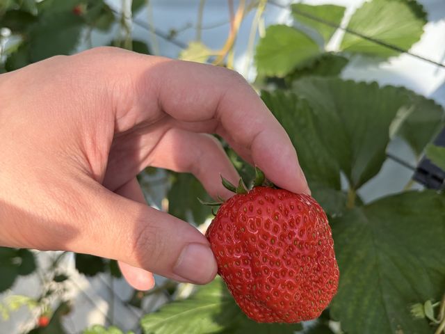 ������_�����ςς�䕂�