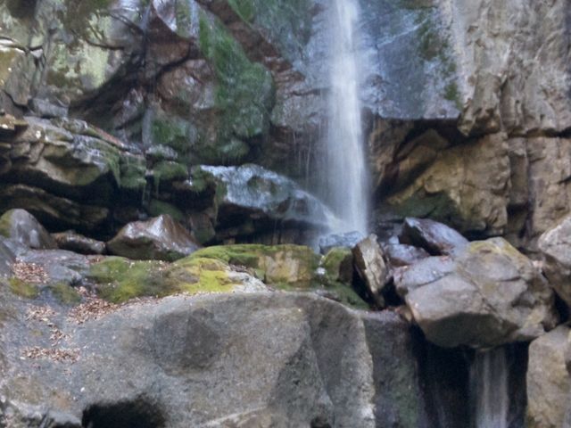 �����̑�_�����̑�