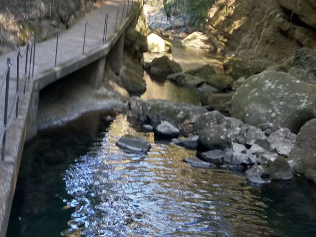 �����̑ꂩ�牺���̒J��]��_�����̑�