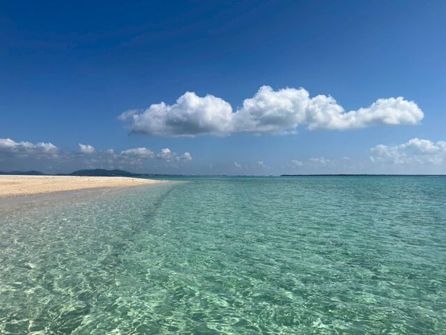 ���̓�_�Ί_���_�C�r���O�T�[�r�X BlueSeod