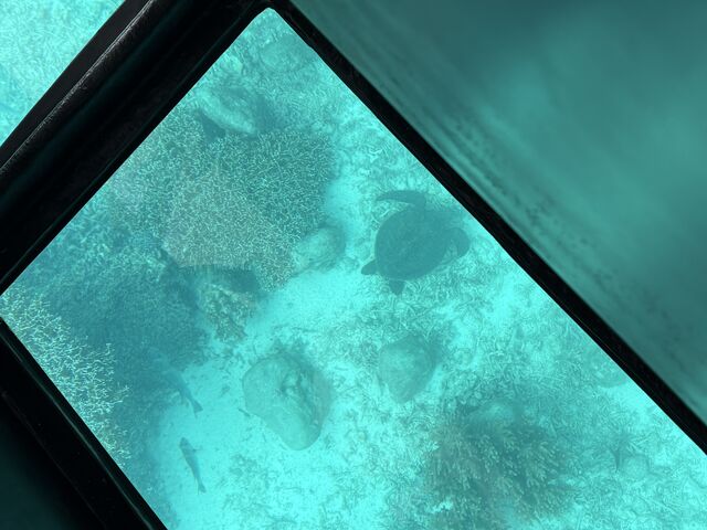 �C�T���݂��܂����B�������Ƃ̂��Ƃł��B_�܂��͂������邭��