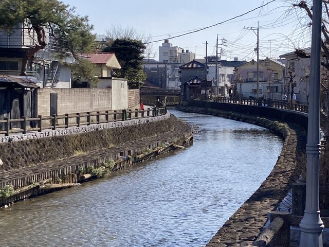 �b�g��j�蓹