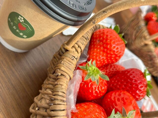 �̂ꂽ�Ă̂�������RedStone����̃R�[�q�[_��������䕉�