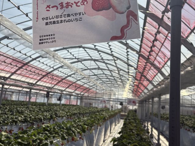 �L�X�Ƃ����n�E�X�ł����B���C�`�I�V�̂������ł��I_��������䕉�