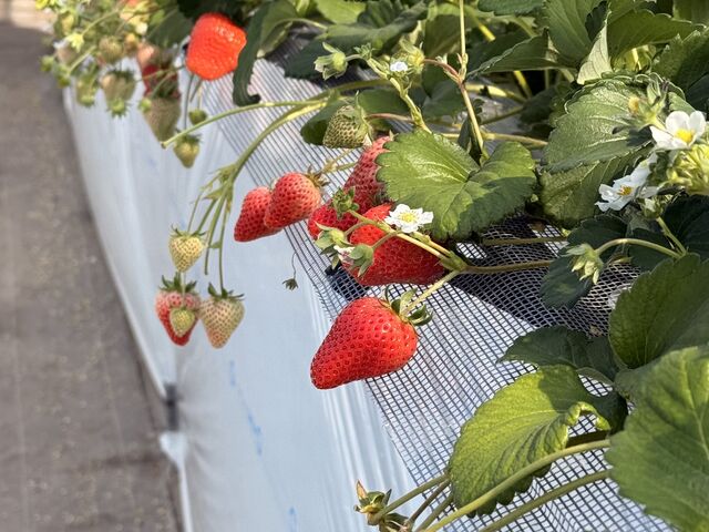 ������_���c��������