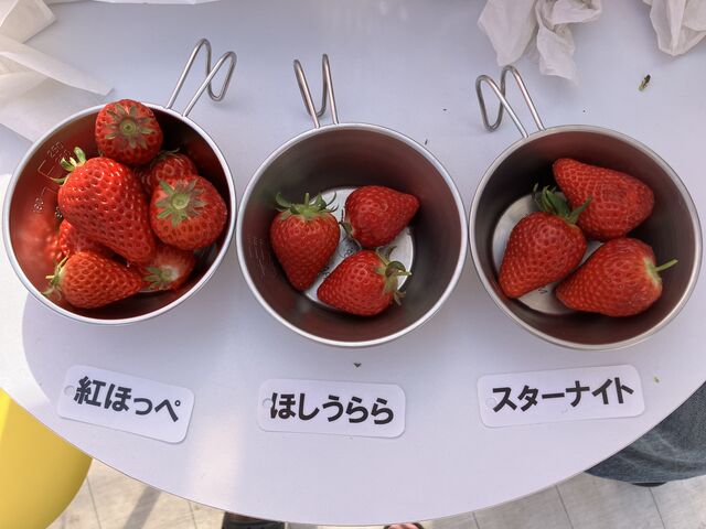 �u�g�ق��؁v�u�ق������v�u�X�^�[�i�C�g�v_�����ӂ��[��