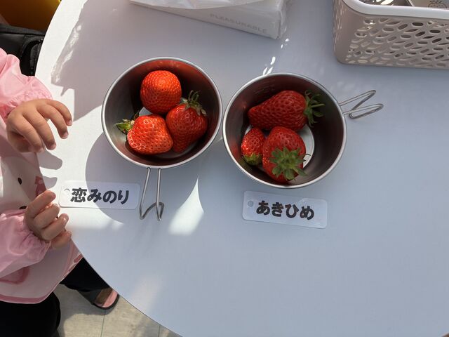 �u���b�N����̂����ӂ��[�ނ̓��e�ʐ^2