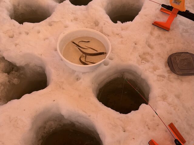 �f�J���̂��ނꂽ^ ^_�A�[�X�A�E�g�h�A�c�A�[�Y �D�y�X