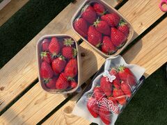 �݂ǂ肳���Green Room�ւ̓��e�ʐ^1