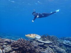 �}�����V���b�v �}�[���C�h�̎ʐ^1