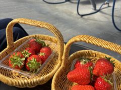 �A�X�g���x���[�̎ʐ^2