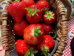 Sky Flora Farm�̎ʐ^1