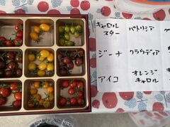 ����ǂ��E�E�H�[�^�[�E�t�@�[���̎ʐ^1