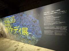 NAKED meets �K�E�f�B�W�̎ʐ^1