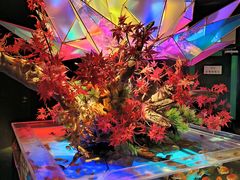 ���g������̓ޗǋ����~���[�W�A��(NARA KINGYO MUSEUM)�ւ̓��e�ʐ^1