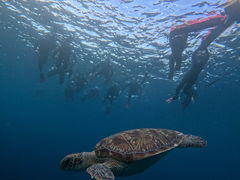 �}�����V���b�vHAPPY�̎ʐ^2