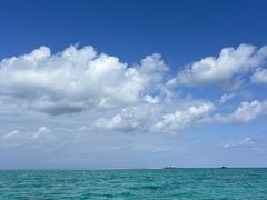 �}�����V���b�vHAPPY�̎ʐ^4