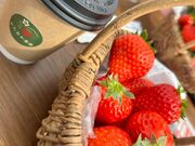 ���N���߂�������̂�������䕉��̓��e�ʐ^1