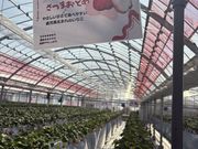 ���N���߂�������̂�������䕉��̓��e�ʐ^2