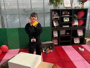 ���N���߂�������̂�������䕉��̓��e�ʐ^3