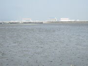 ��������񂳂�̎��슱���̓��e�ʐ^1