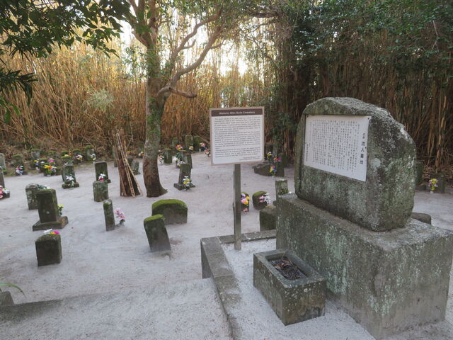 �L������̗��l��n�̓��e�ʐ^3