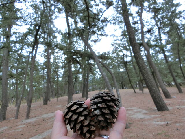 ���тƏ��ڂ�����B_�l�≷��