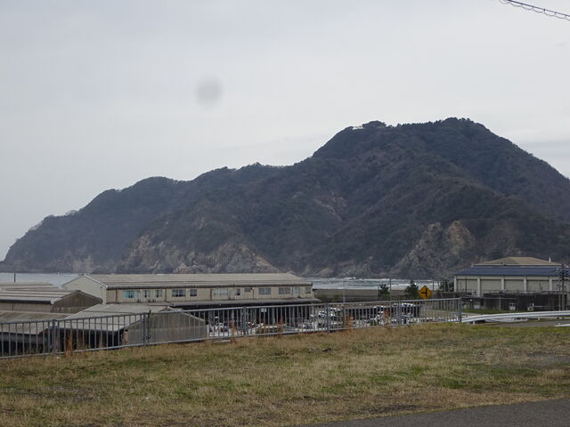 �C�݂���̌i�F�B_�l�≷��