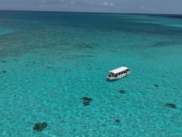 �ō��I_�ɗǕ����c�A�[�@�}�J�i