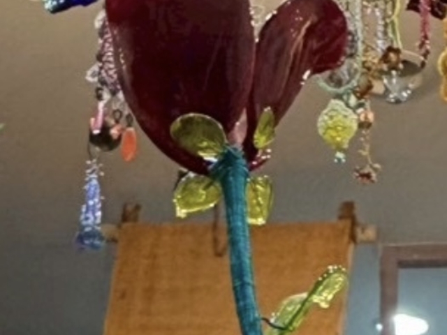 �o��_�r�[�Y�����f�U�C�������� colore labo