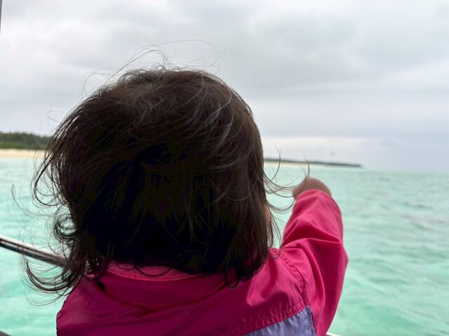 ��������̃��������V�[�}���Y�N���u�̓��e�ʐ^3