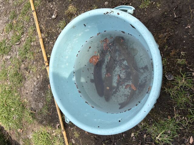 3��ނ̑S�Ă̎�ނ̂�����ނ邱�Ƃ��ł��܂����B_���Âܗ{����