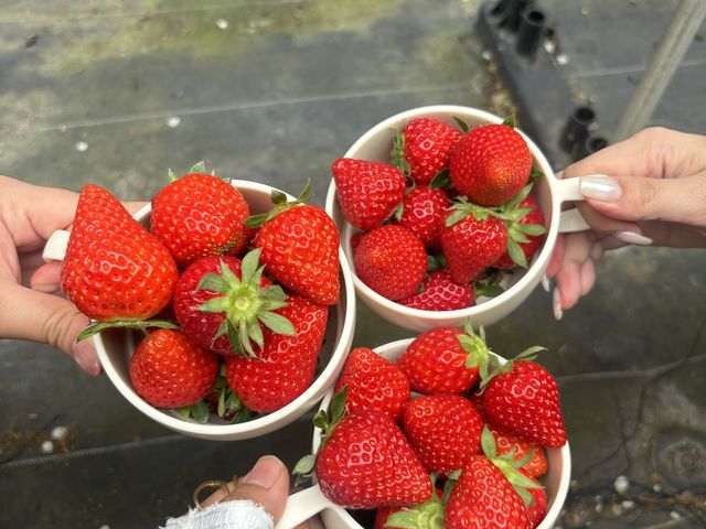 �Ƃ����ǁ[�[�[�[�[�[�[�I�I�I�I_���ӂ��C�`�S��