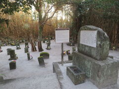 �L������̗��l��n�ւ̓��e�ʐ^1