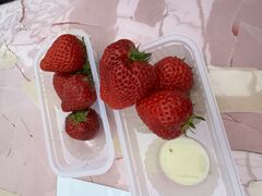 �������C�ӂ̂��������s���F�t�F�����t�̎ʐ^1