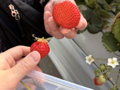 �O���[���t�@�[����΁@�����肢�����n�E�X�̎ʐ^1