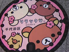 �T���v������̐��c��ό��ē����ւ̓��e�ʐ^1