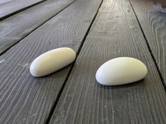 ���݂�����̍K���r���b�W�ւ̓��e�ʐ^1