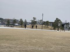 HANAIKADA�@�{���C�i�U��@�ї��ۂ̎ʐ^1