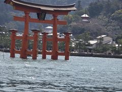 HANAIKADA�@�{���C�i�U��@�ї��ۂ̎ʐ^2